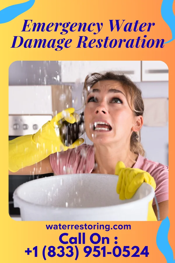 Emergency Water Damage Restoration in Summersville, WV