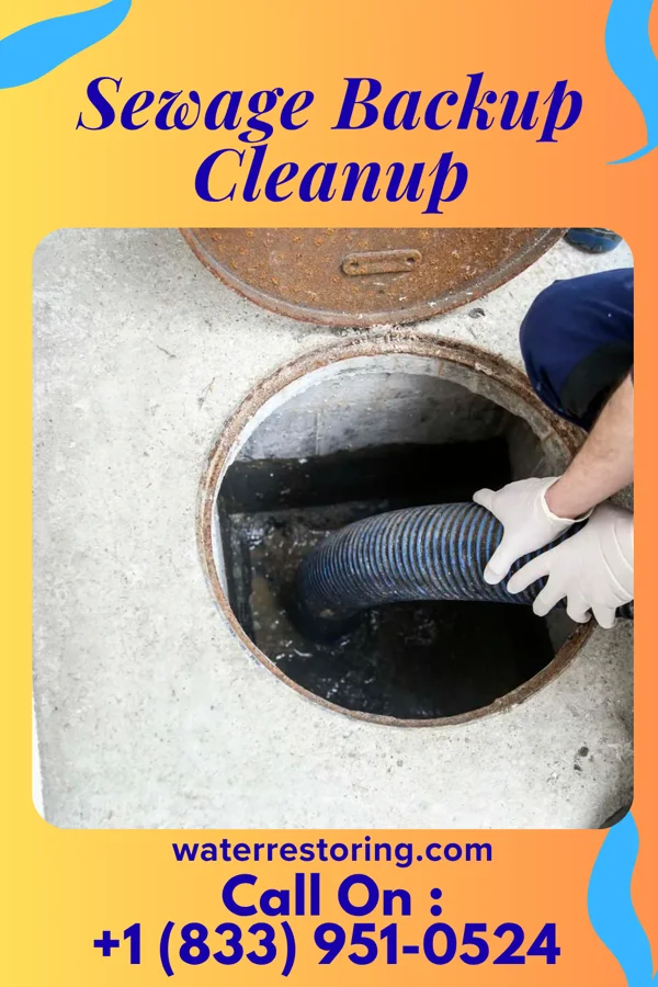 Sewage Backup Cleanup in Summersville, WV