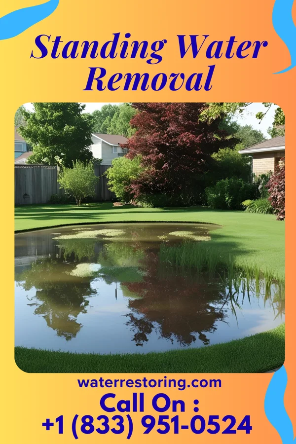 Standing Water Removal in Summersville, WV